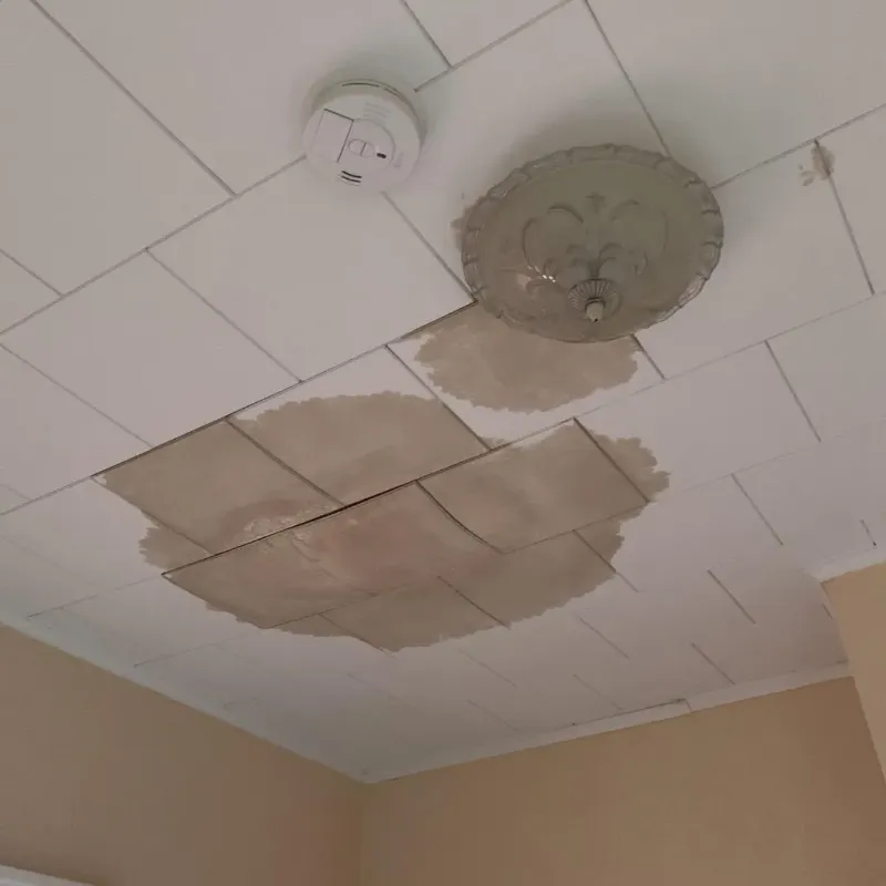Ceiling Water Damage Repair in Erie County, PA