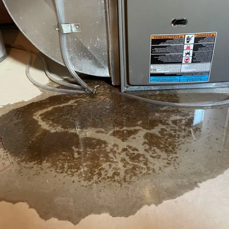 Pipe Burst and Leak Restoration in Erie County, PA