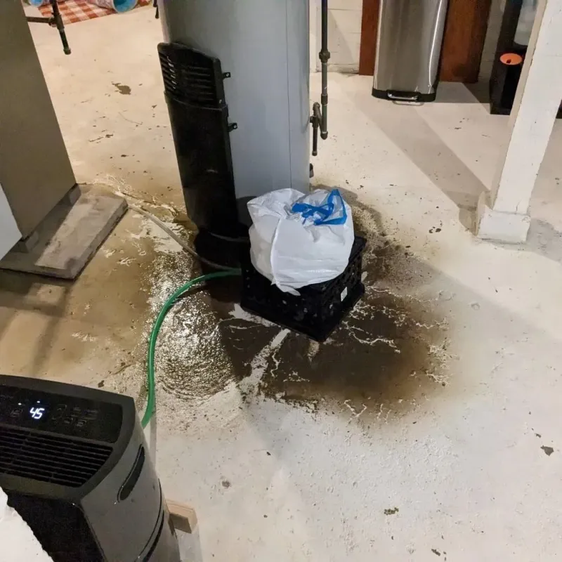 Sewage Backup Cleanup Service in Erie County, PA
